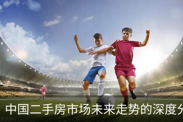 中国二手房市场未来走势的深度分析